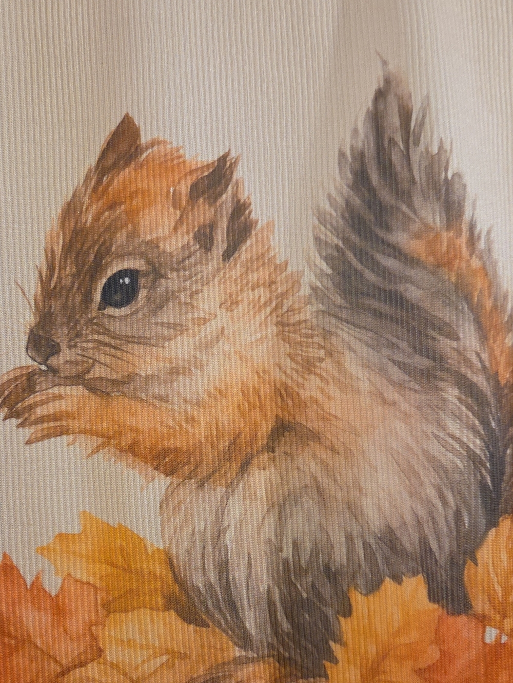 Cream Long-Sleeve Pet-Themed Shirt with Squirrel Print - Picture 2 of 3